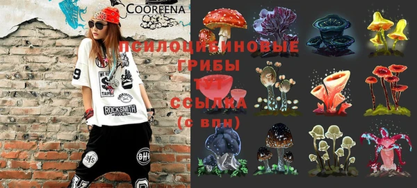 apvp Алзамай